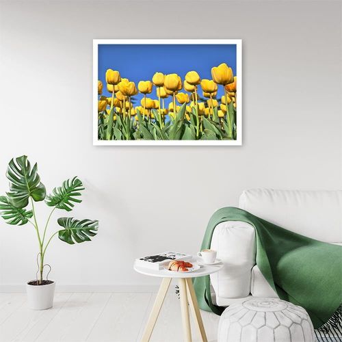 Obraz w ramie białej, Tulipany 120x80 na Arena.pl