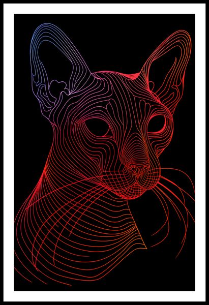 Plakat 53x81cm Cyfrowa Kocica zdjęcie 3