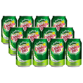 Canada Dry Ginger Ale Napój gazowany o smaku imbirowym 330 ml x 12 sztuk