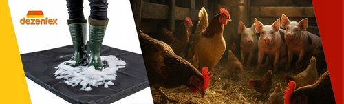 MATA DEZYNFEKCYJNA 50X60X2CM WEJSCIOWA + GRATIS! na Arena.pl