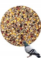 Karma dla gołębi Agro King Bez Pszenicy BP Super Jakość 25kg