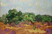 Plakat 60x40cm Olive Trees 2, Van Gogh Vintage do Salonu