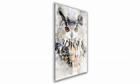 OBRAZ NA SZKLE PROSTOKĄTNY 40x60cm 140 Sowa akwarelowa