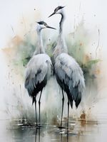 Plakat 15x20cm Tańczące Czaple