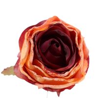 Róża wyr. podsuszana fioletowo brązowa 12 szt