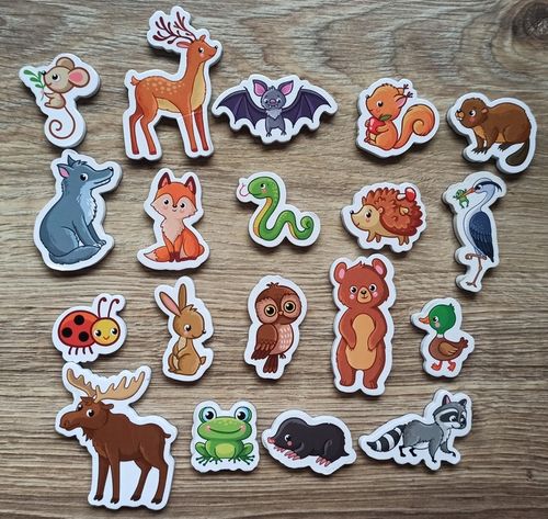 MAGNESY NA LODÓWKĘ DLA DZIECI ZESTAW EDUKACYJNY ZWIERZĘTA PREZENT 30 na Arena.pl