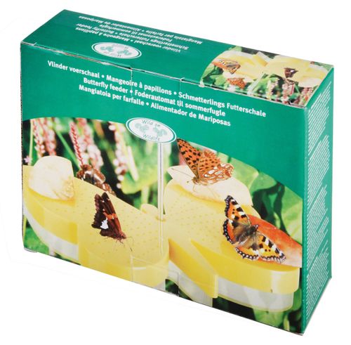 Karmnik dla motyli na Arena.pl