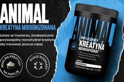 Animal Creatine Powder, Unflavored – 500 g na Arena.pl