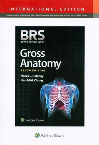 BRS Gross Anatomy na Arena.pl