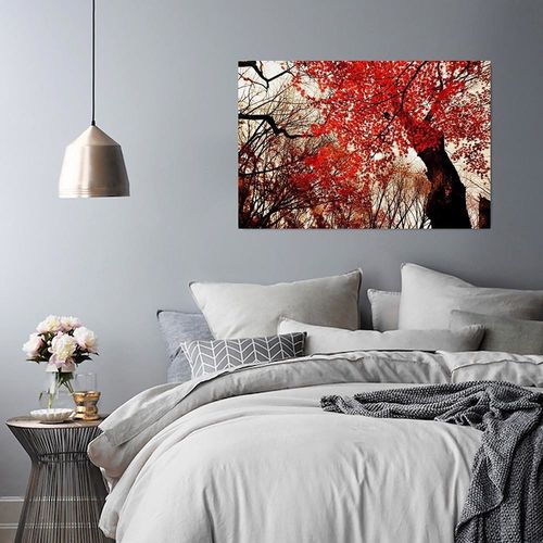 Obraz na płótnie - Canvas, Klon palmowy 40x60 na Arena.pl