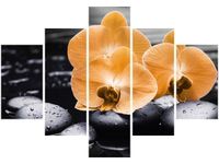 70 100CM OBRAZ 5 ELEM POMARAŃCZOWE STORCZYKI DRUK PŁÓTNO