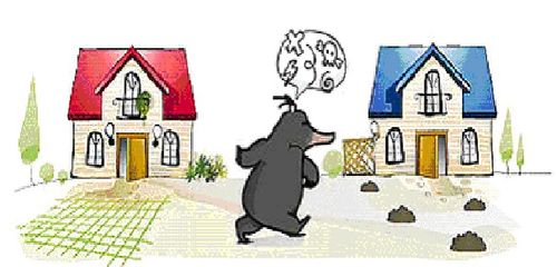 Skuteczna SIATKA NA KRETY 1,5x100m 150m2 10x10 na Arena.pl