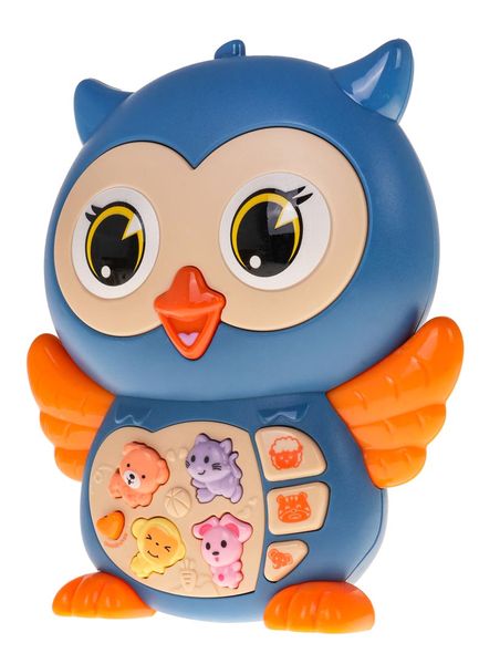 Interaktywna Sowa Niebieska zdjęcie 4