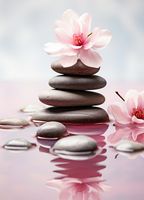 product-compare-59343690