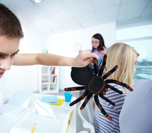 PAJĄK ZDALNIE STEROWANY LED NA PILOT DUŻY TARANTULA ZABAWKA DLA DZIECI na Arena.pl