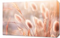 Obraz 60x40cm Kwiaty Słońca