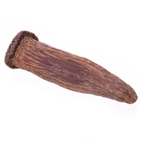 Gwoździe na Arena.pl