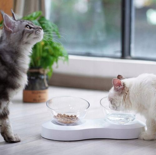 Podwójna Miska dla Kota Miska dla małego Psa Regulowana Antypoślizgowa na Arena.pl