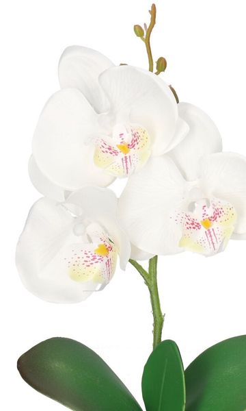 STORCZYK ORCHIDEA SZTUCZNE KWIATY W DONICZCE zdjęcie 2