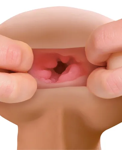 pipedream extreme toy pet xl cielisty 26 cm - model anatomiczny z otworem na Arena.pl