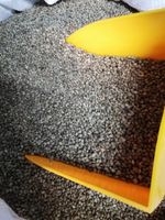 Konopie paszowe dla gołębi, ptaków, ziarno