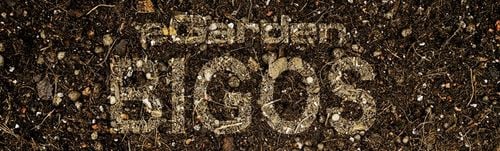 Podłoże BIGOS Lekka Ziemia do Monster i Filodendronów 30 L eGarden na Arena.pl