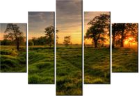 105CM 150CM OBRAZ 5 ELEM ZACHODZĄCE SŁOŃCE WŚRÓD DRZEW DRUK