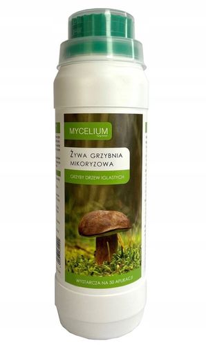 Żywa Grzybnia Iglaste - Borowik Maślak Rydz Kurka na Arena.pl