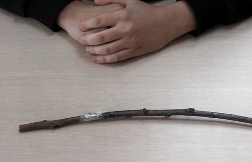 SEKATOR NOŻYCOWY NOŻYCE DO SZCZEPIEŃ OKULIZACJI DRZEW TAŚMA GRATIS na Arena.pl