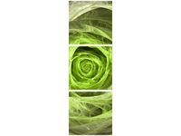 product-compare-58653649