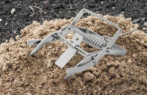 PUŁAPKA NA NORNICE I KRETY 3 SZT KRETOŁAP PROFESJONALNA SOLIDNA na Arena.pl