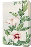 Obraz 30x50cm Hibiscus, Morikaga Japoński Vintage do Salonu