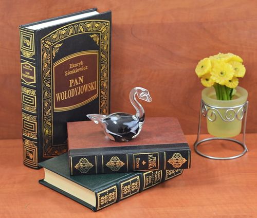 Łabędź wrzosowo-biały na Arena.pl