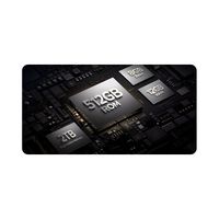 2X DOOGEE S Punk Pro 8+12/512GB 10800 mAh, srebrny