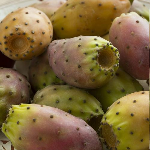 OLEJ Z OPUNCJI FIGOWEJ 50ml do twarzy rafinowany PREMIUM na Arena.pl