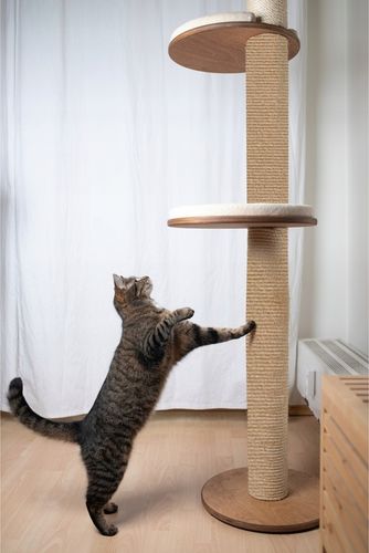 Samoprzylepna MATA DO DRAPANIA na kanapę meble dla kotów ochrona 100x40 na Arena.pl