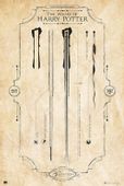 Harry Potter Różdżka Harryego - plakat 61x91,5