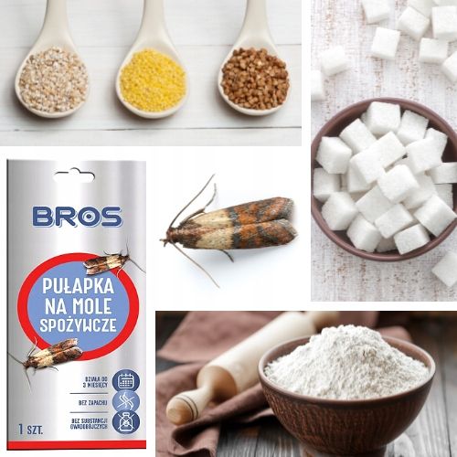 BROS Pułapka na mole spożywcze ZESTAW 10 SZTUK na Arena.pl