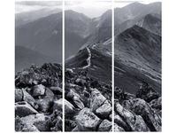 product-compare-58702450