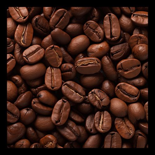 Plakat 30x30cm Esencja Aromatu na Arena.pl