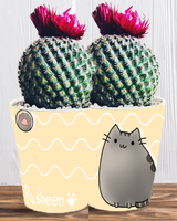 Doniczka do kwiatów/roślin - Pusheen - Kotek