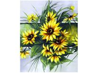 product-compare-58653347