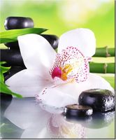 60CM 50CM OBRAZ ŚCIENNY KAMIENIE SPA STORCZYK DRUK PŁÓTNO