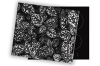 SZKLANA DESKA NA KUCHENKĘ 60x52 013A MONO LIŚCIE