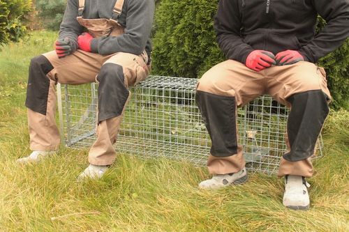 ZYWOŁAPKA PUŁAPKA NA KUNY LISY KOTY BOBRY WYDRY na Arena.pl