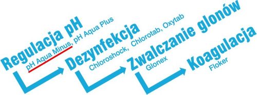 Preparat do basenu AQUA pH MINUS na Arena.pl