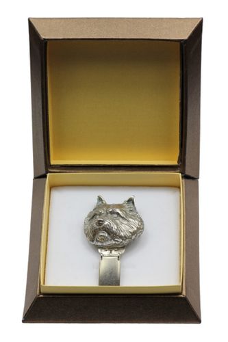 Norwich Terrier - klips - 2571 na Arena.pl