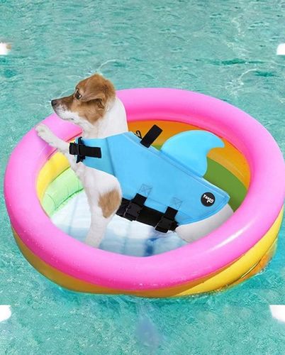 KAPOK KAMIZELKA RATUNKOWA DLA PSA do Wody Rekin S Ubranko do Pływania Fazoo na Arena.pl