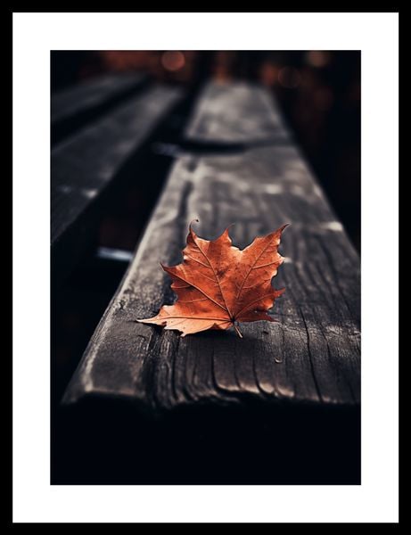 Plakat 25x35cm Pojedynczy Liść zdjęcie 3