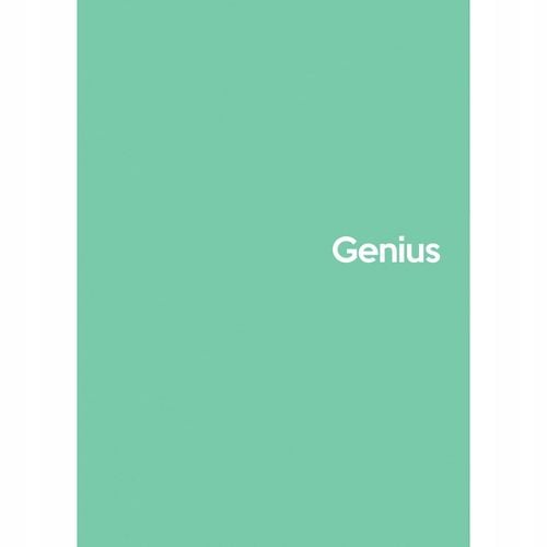 kołozeszyt a5/80k kratka genius mini 2 4610 na Arena.pl